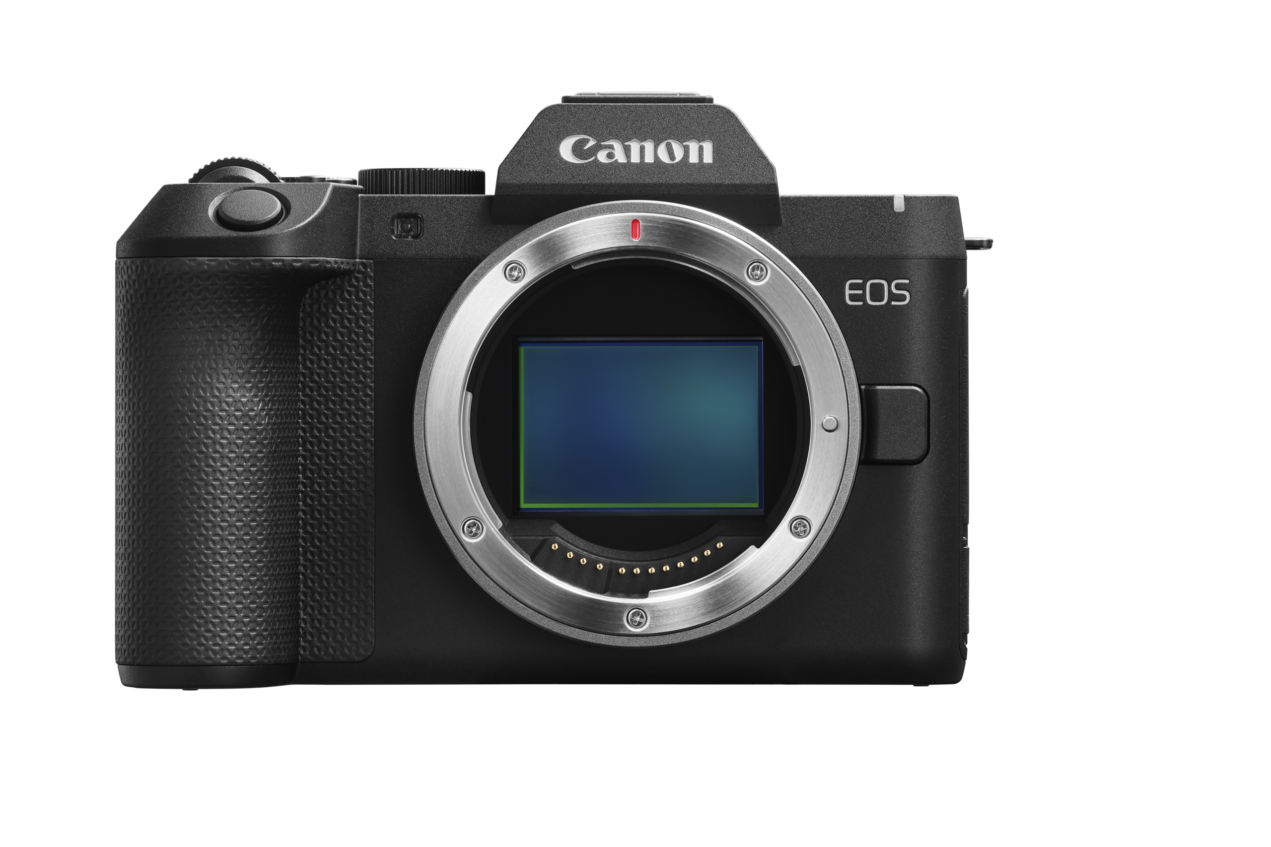 Canon EOS R8 Mark II Body